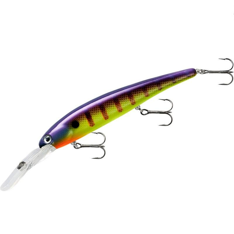 Bandit Walley Deep Viral Perch