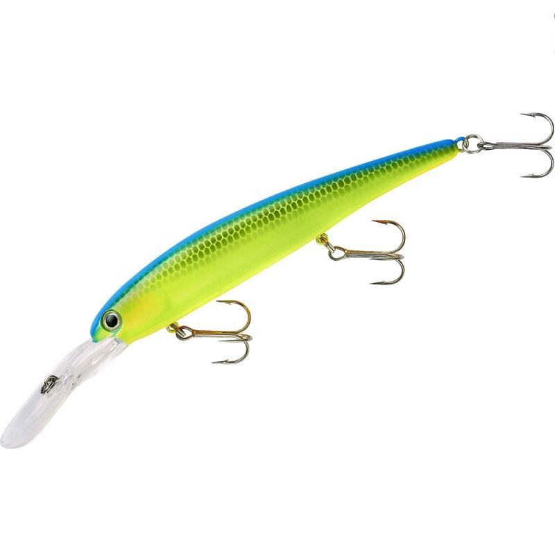 Bandit Walley Deep Chart Blue Back