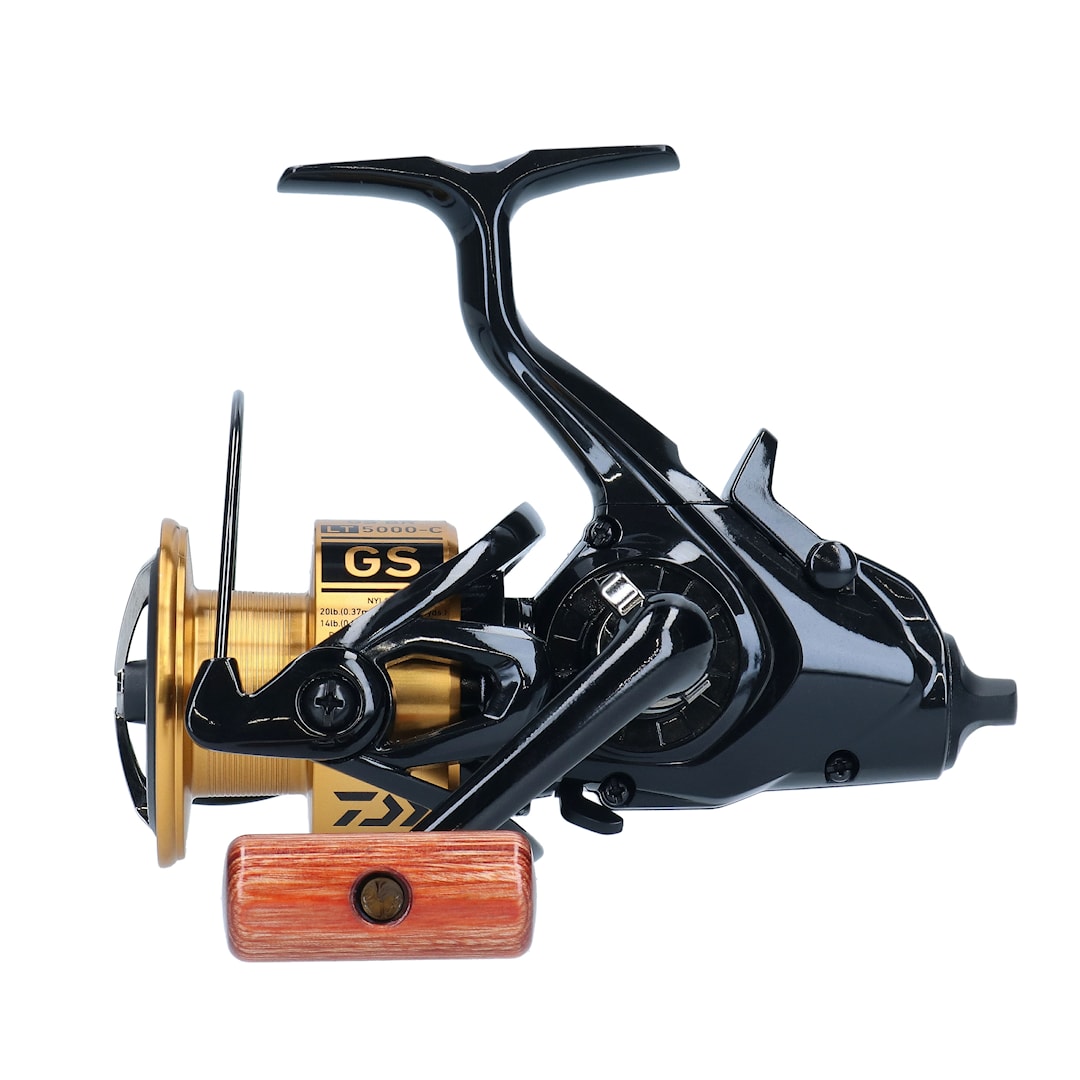 20 GS BR LT 5000-C - Daiwa