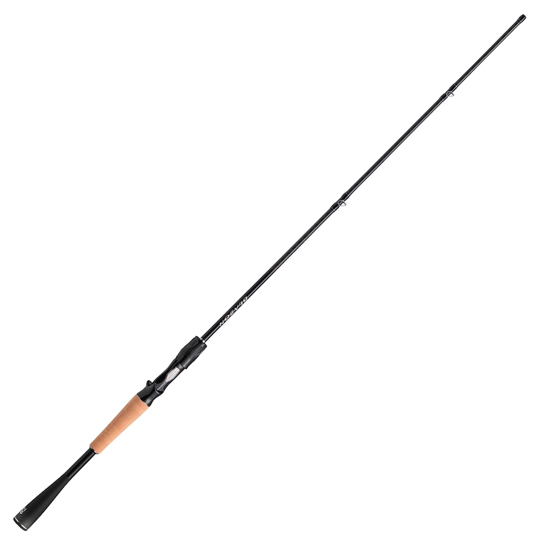 Daiwa Blazon Bait spinnspö - Daiwa