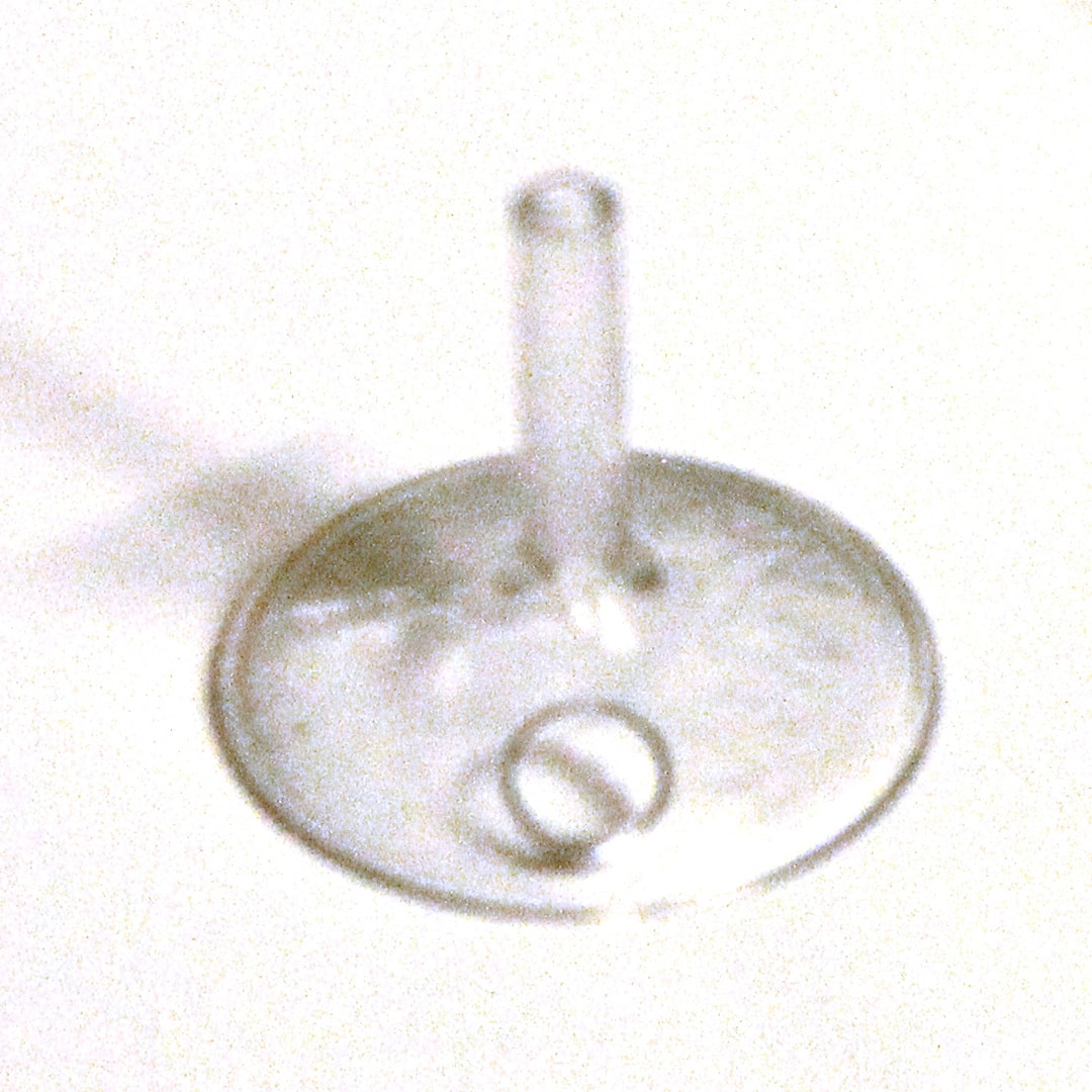 QR Action Disc diver liten 20 mm 6 st/pkt - QR