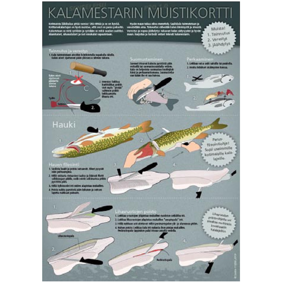 Sakke Yrjölä Fiskmästarens minneskort A4 kort - Sakke Yrjölä