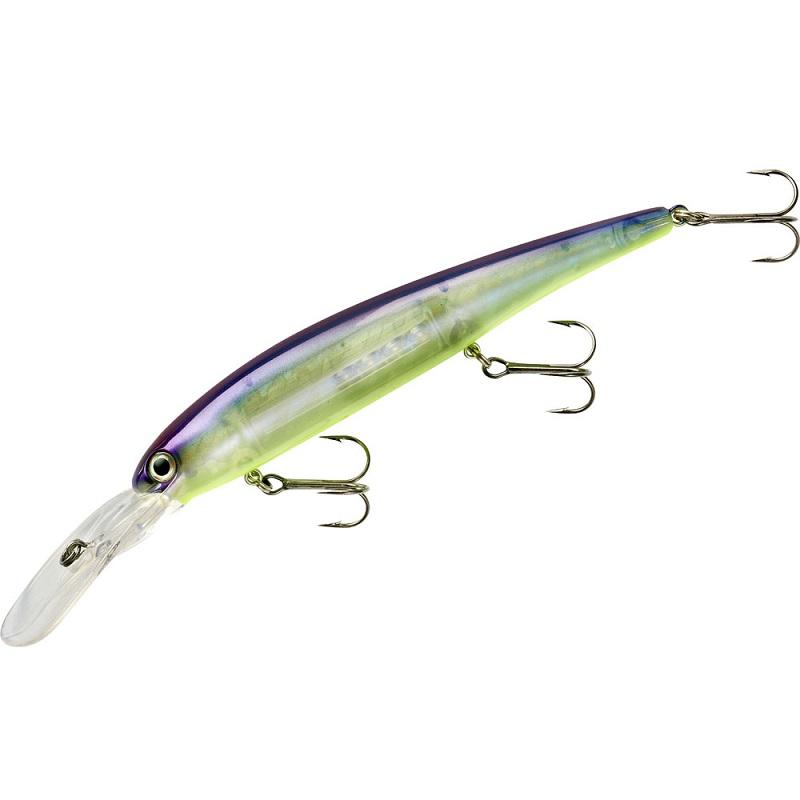 Bandit Walley Deep Blue Shiner
