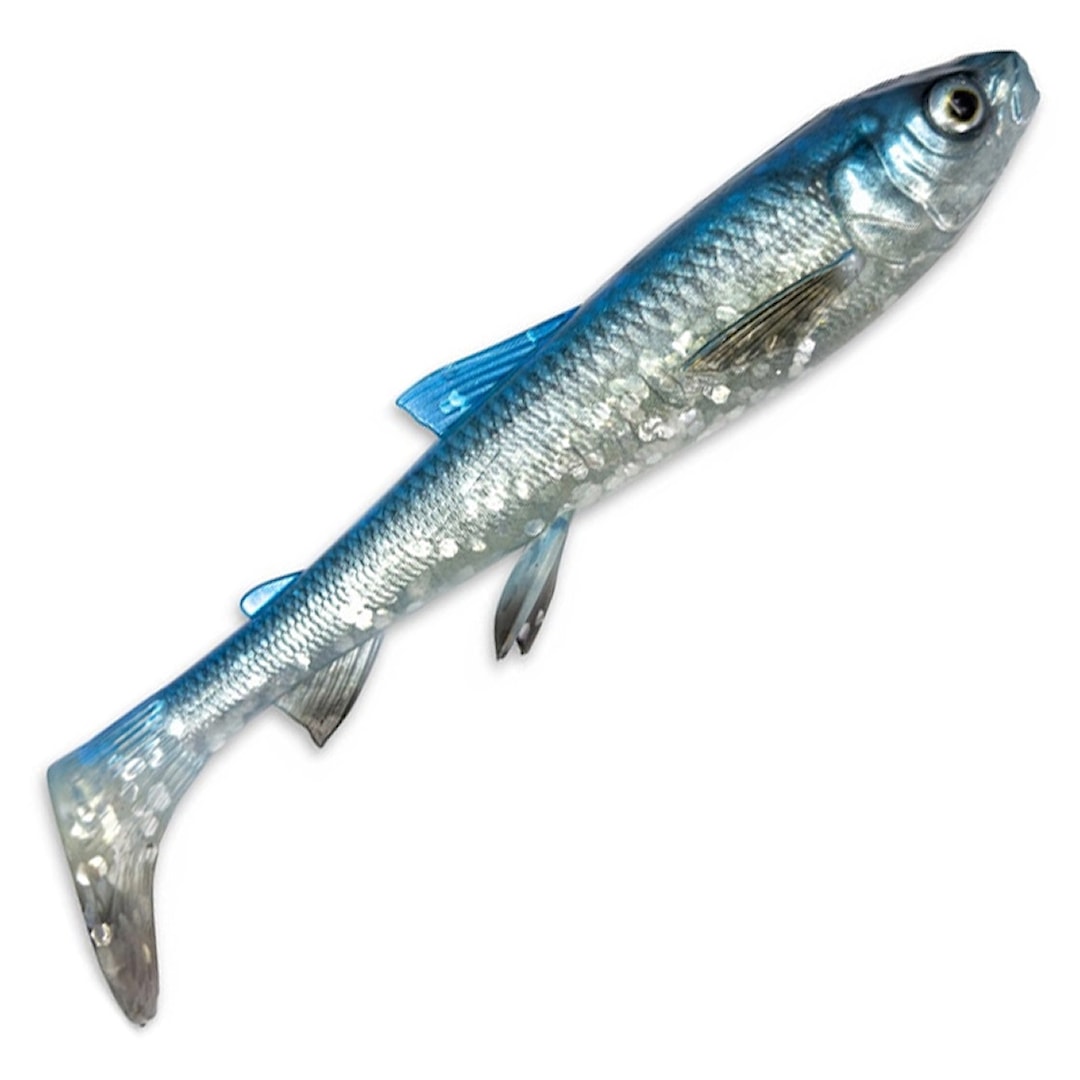 Savage Gear 3D Whitefish Shad 20 cm fiskjigg Blue Silver - Savage Gear
