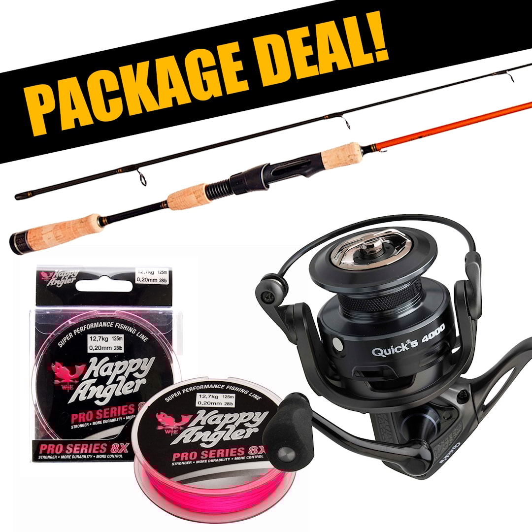 Daiwa Aird Jiggmästaren + DAM Quick 5 haspelset med flätlina - Daiwa