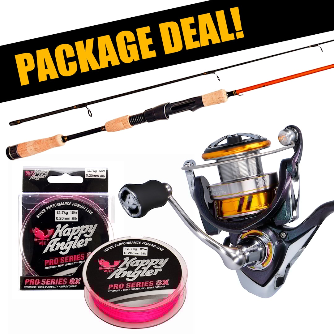 Daiwa Aird Jiggmästaren + Regal LT haspelset med flätlina - Daiwa