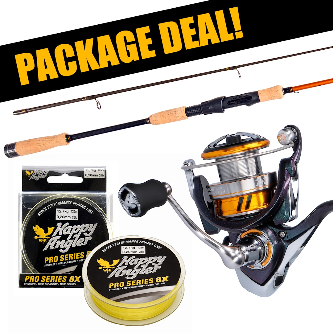 Daiwa Aird Stugmästaren + Regal LT haspelset med flätlina - Daiwa