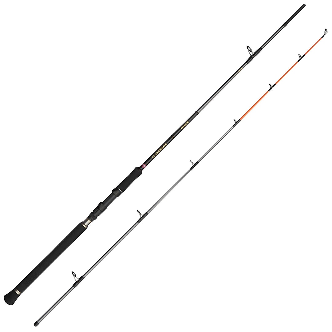 Penn Regiment IV Spin/Pilk haspelspö 240 cm 20-80 g - Penn