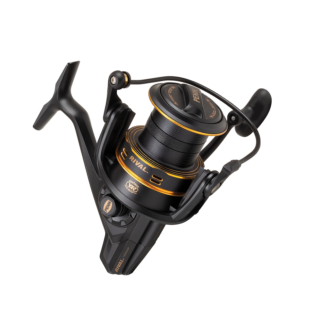 Penn Rival Long Cast Gold haspelrulle 7000 - Penn