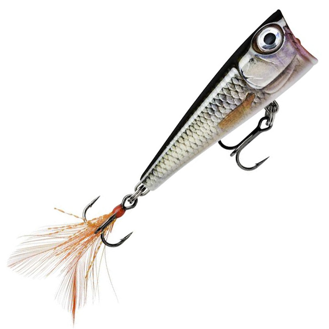 Rapala X-Light Pop 4 cm popper Live Roach - Rapala