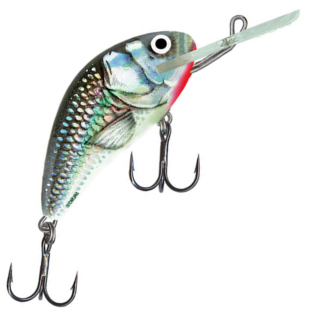 Salmo Hornet 6F 6 cm wobbler HGS - Salmo
