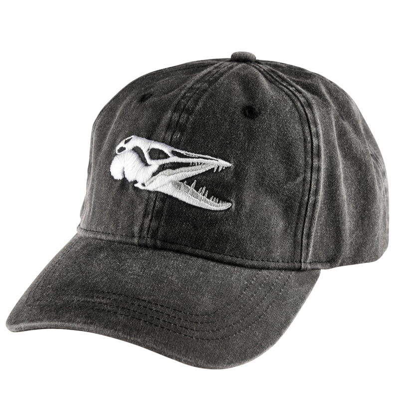 IFISH Keps Scull Black