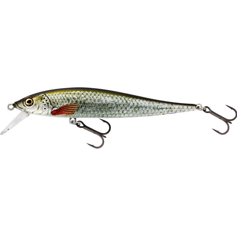 Westin Jerkbite SR Jerkbait 9cm 8g Suspending Real Roach